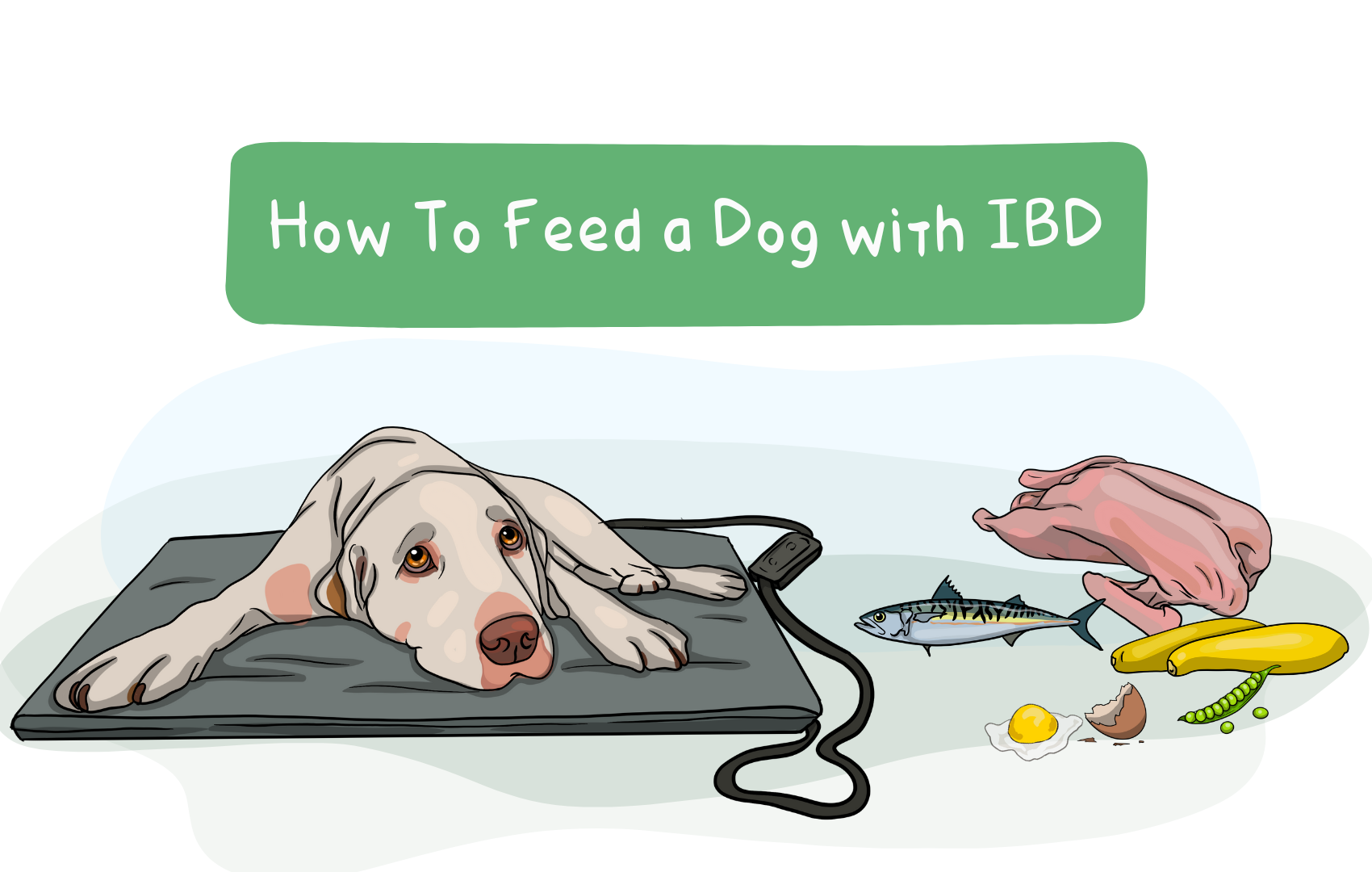 What To Feed A Dog With Ibd: Complete Guide & Key Details